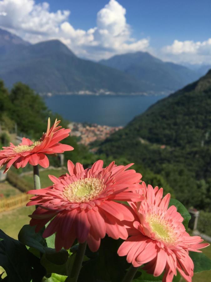 Angolo Di Gravedona