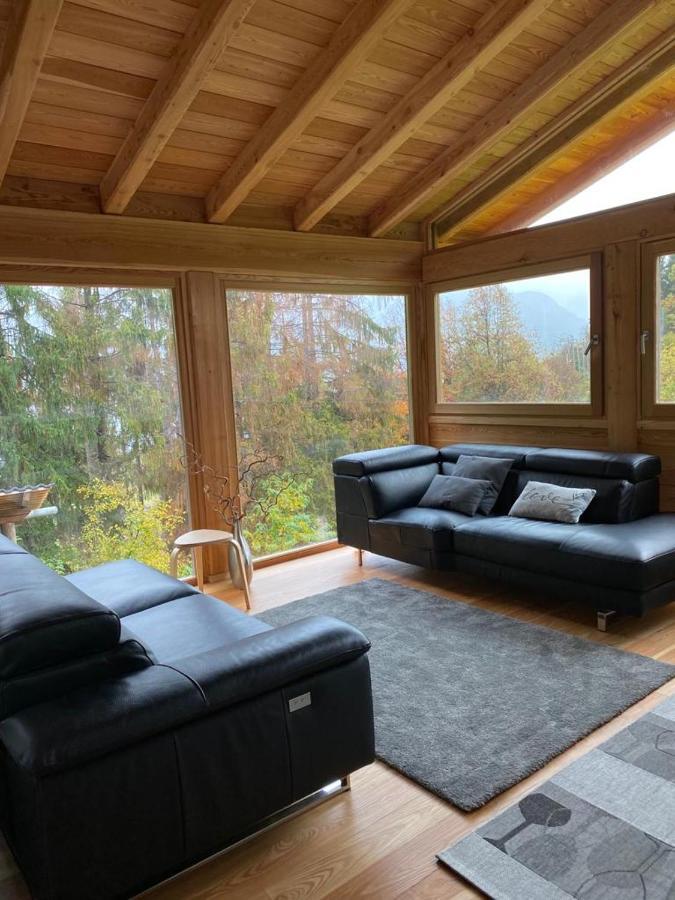 Cozy Nature House *