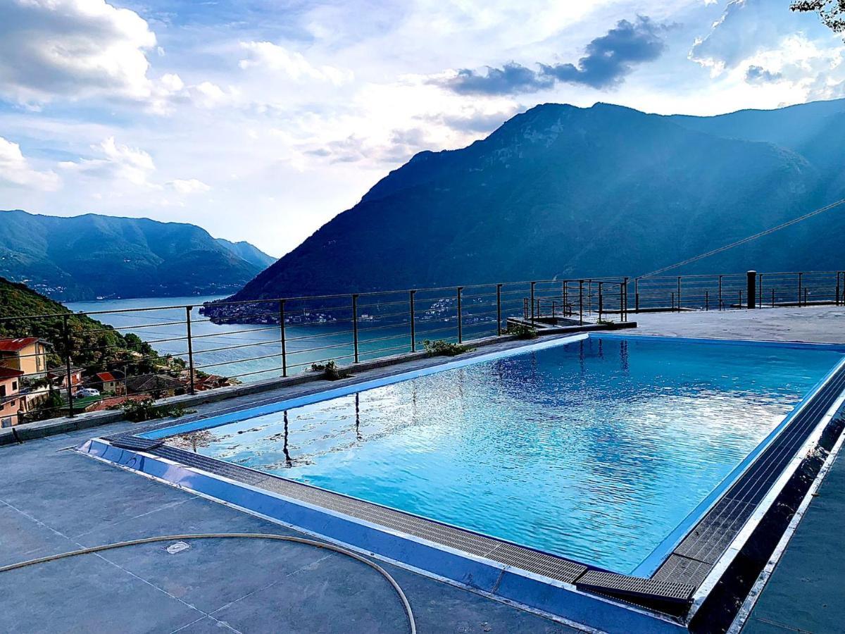 Art Vista * Nesso
