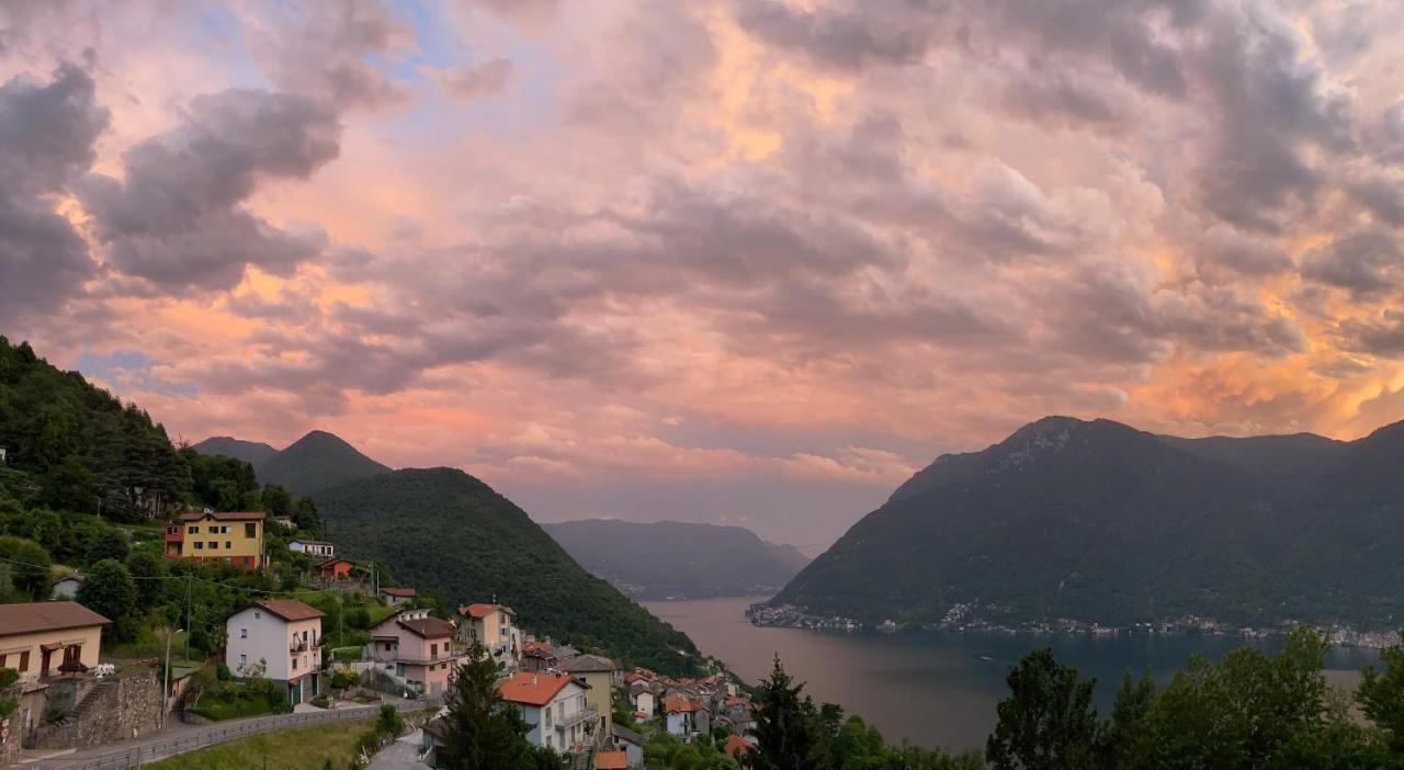 Art Vista Nesso