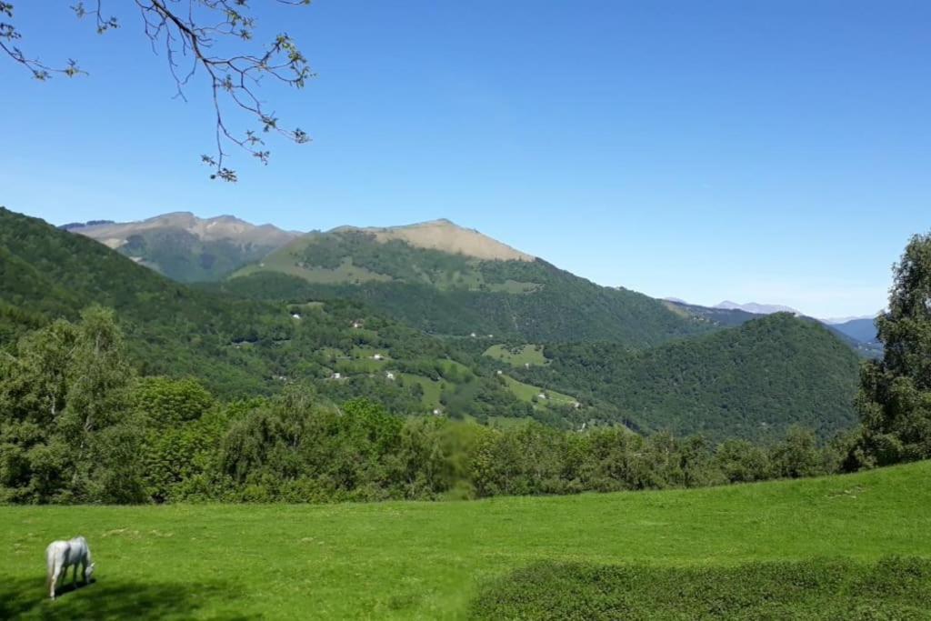 Panoramic View Home's Giulia *