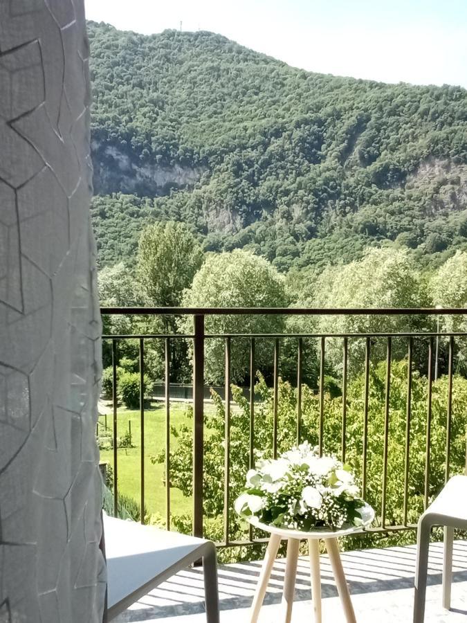 L'airone Cenerino *