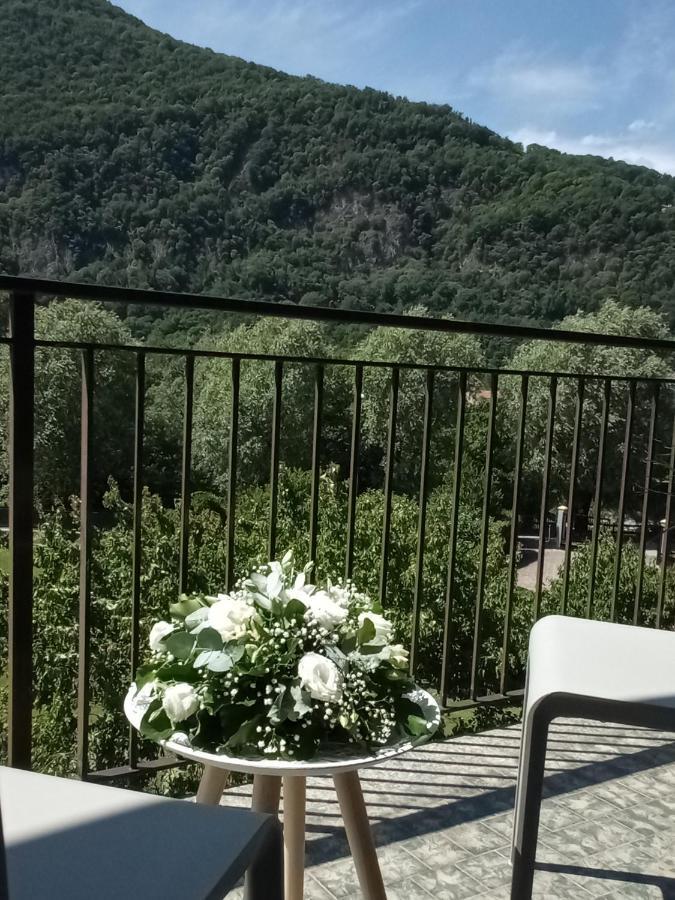 L'airone Cenerino *