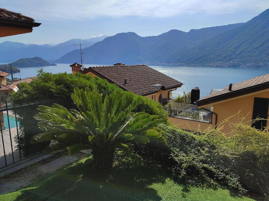 Vista Panoramica *
