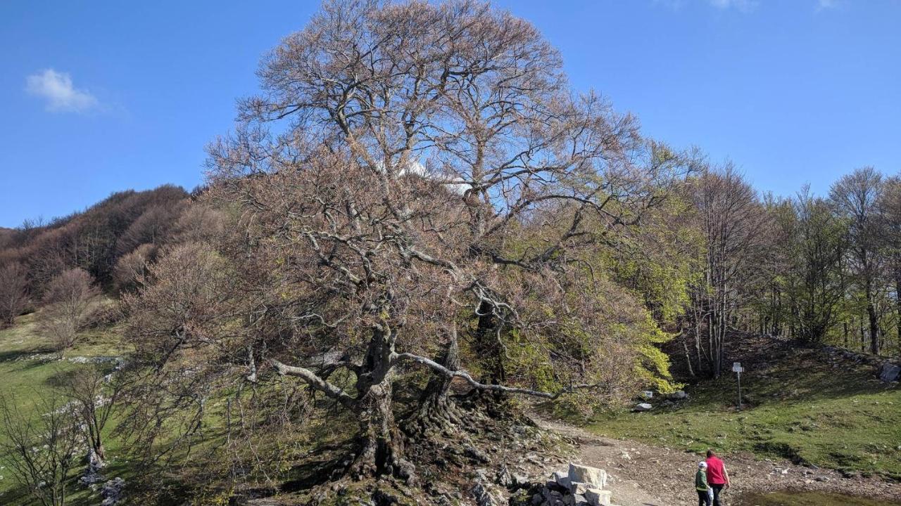 Residenza La Cascata Calolziocorte
