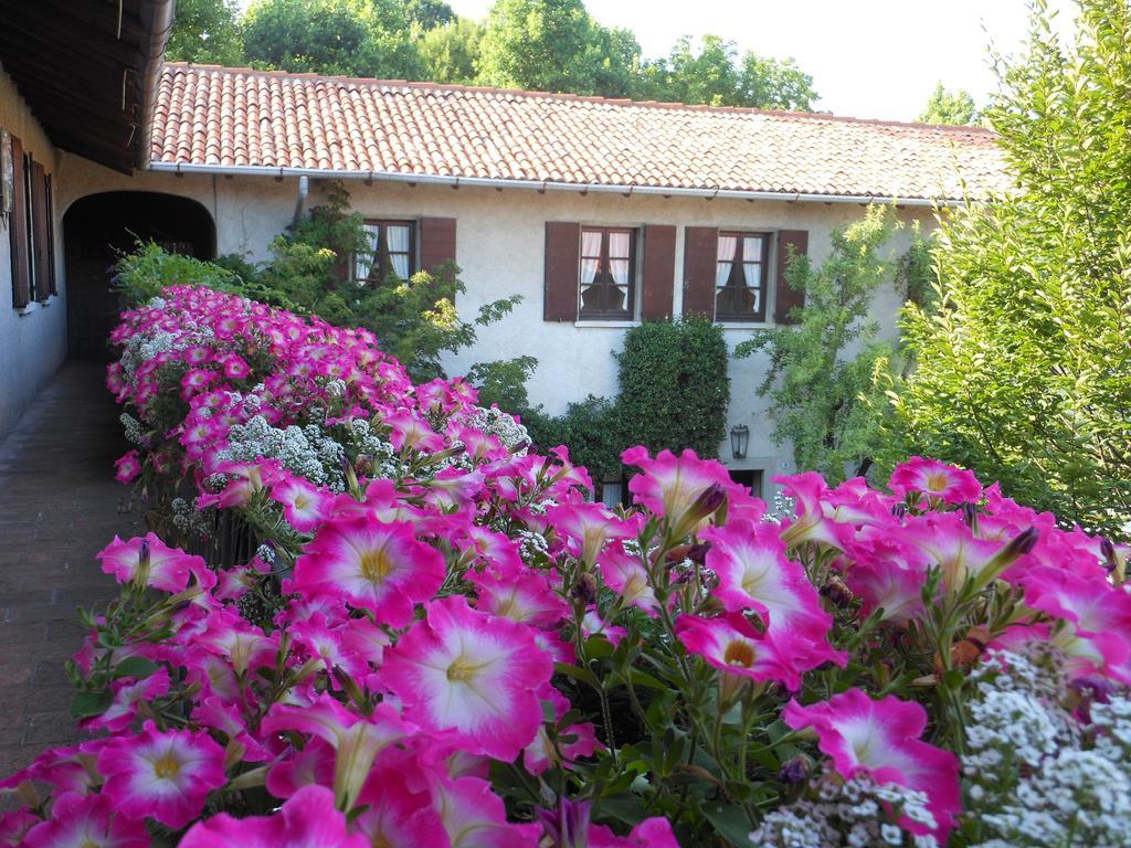 Agriturismo Cassinazza Farm stay