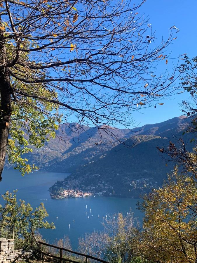Il Riccio Appartamento *