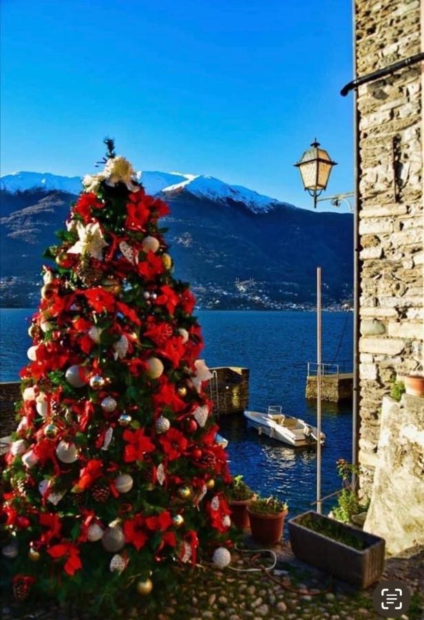 Al Castello