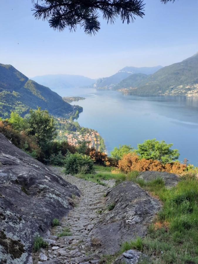 Apartment Al Castello Dervio