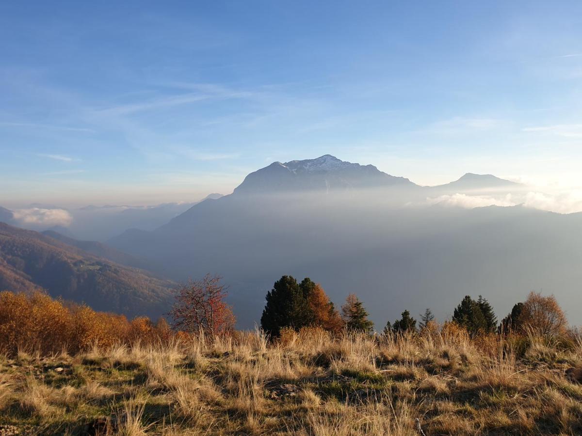 Rosmarino 300 Mt From The Villa Colico