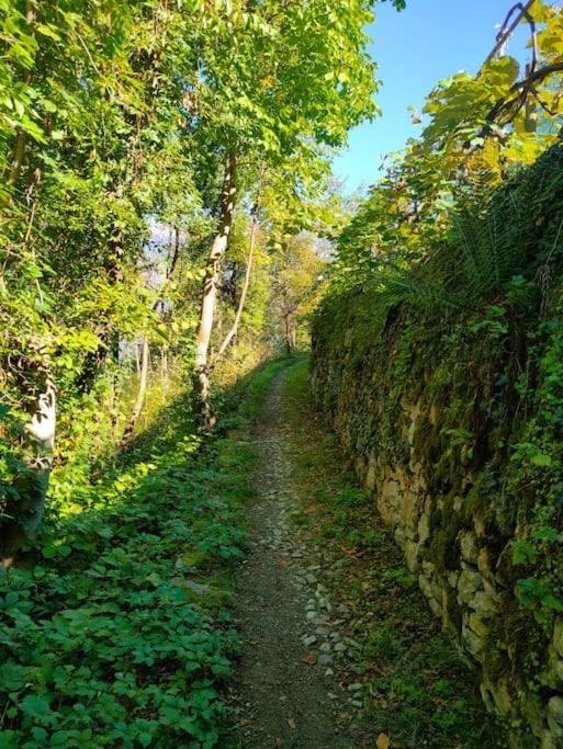 Private Near Bellagio View Lake Como