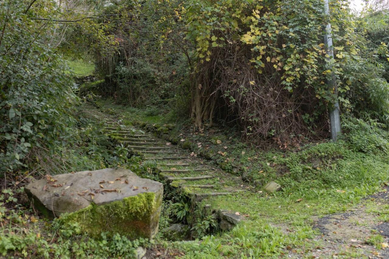 Private Near Bellagio View Lake Como Lezzeno