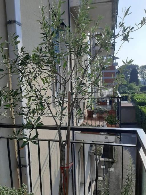 Apartment Mice Ottima Soluzione Per Il Centro E La Svizzera Como