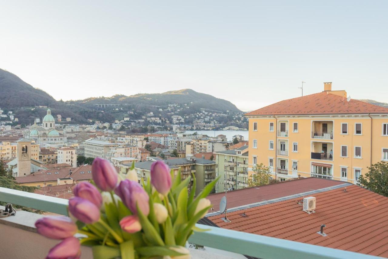 Apartment White View By Rent *