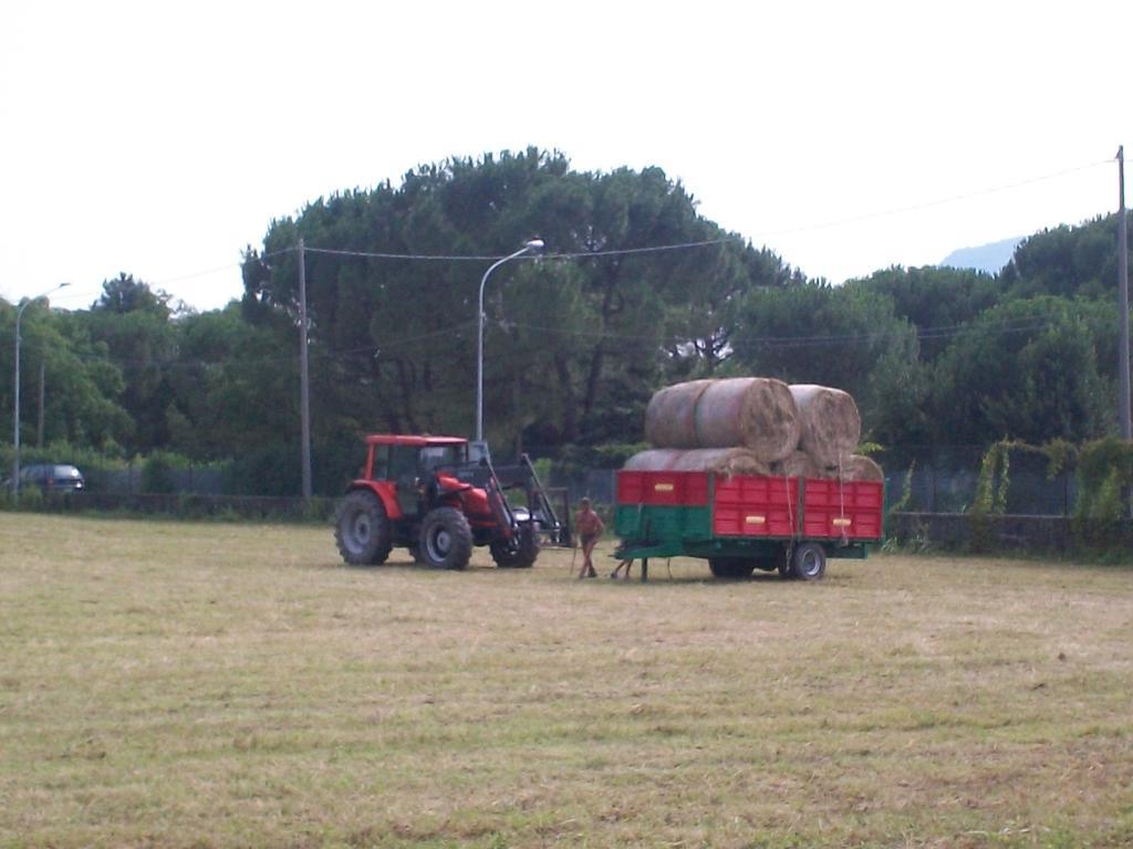 Bed & Breakfast B&B Agrifarm *