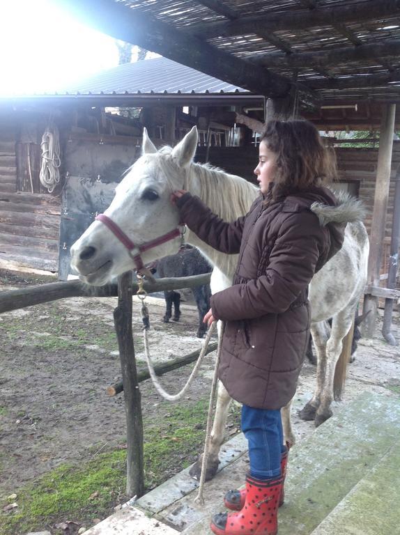 Barcola Farm stay Grandola ed Uniti