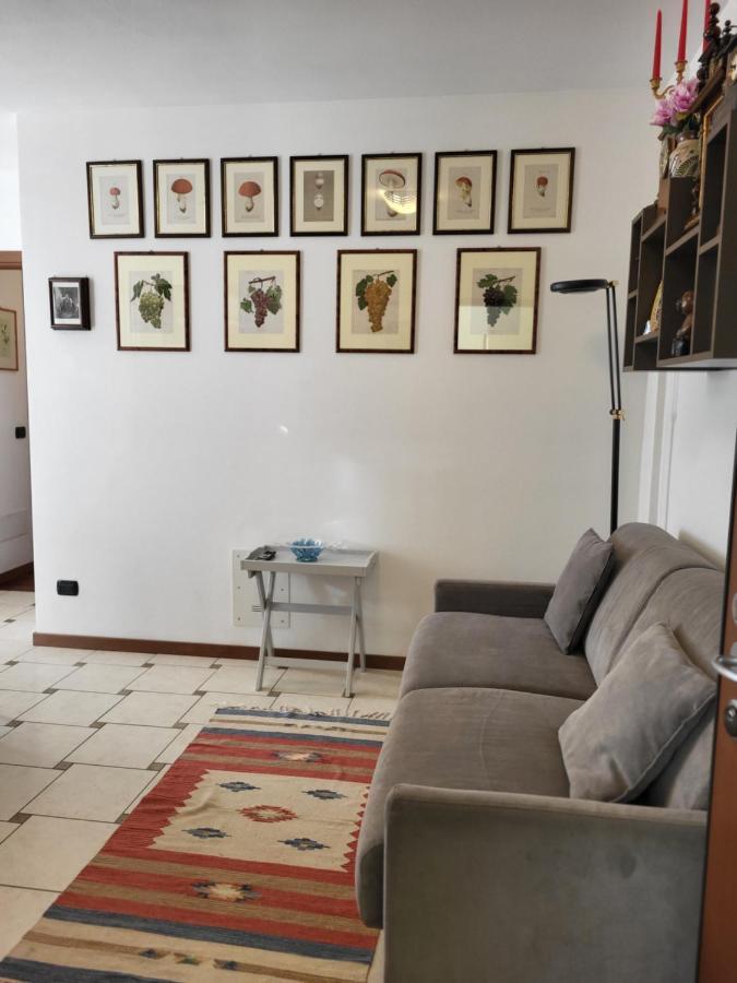 Belvedere Bolvedro Apartment