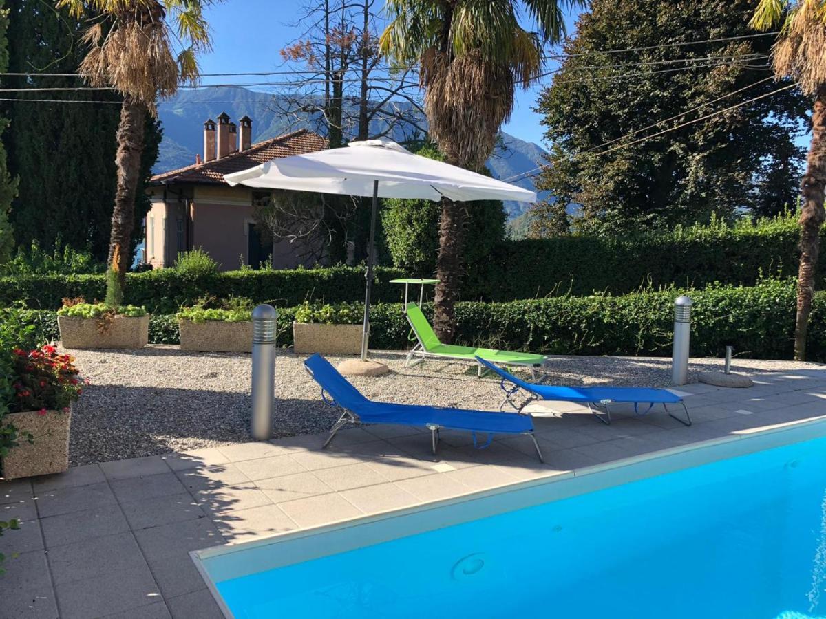 Belvedere Bolvedro *