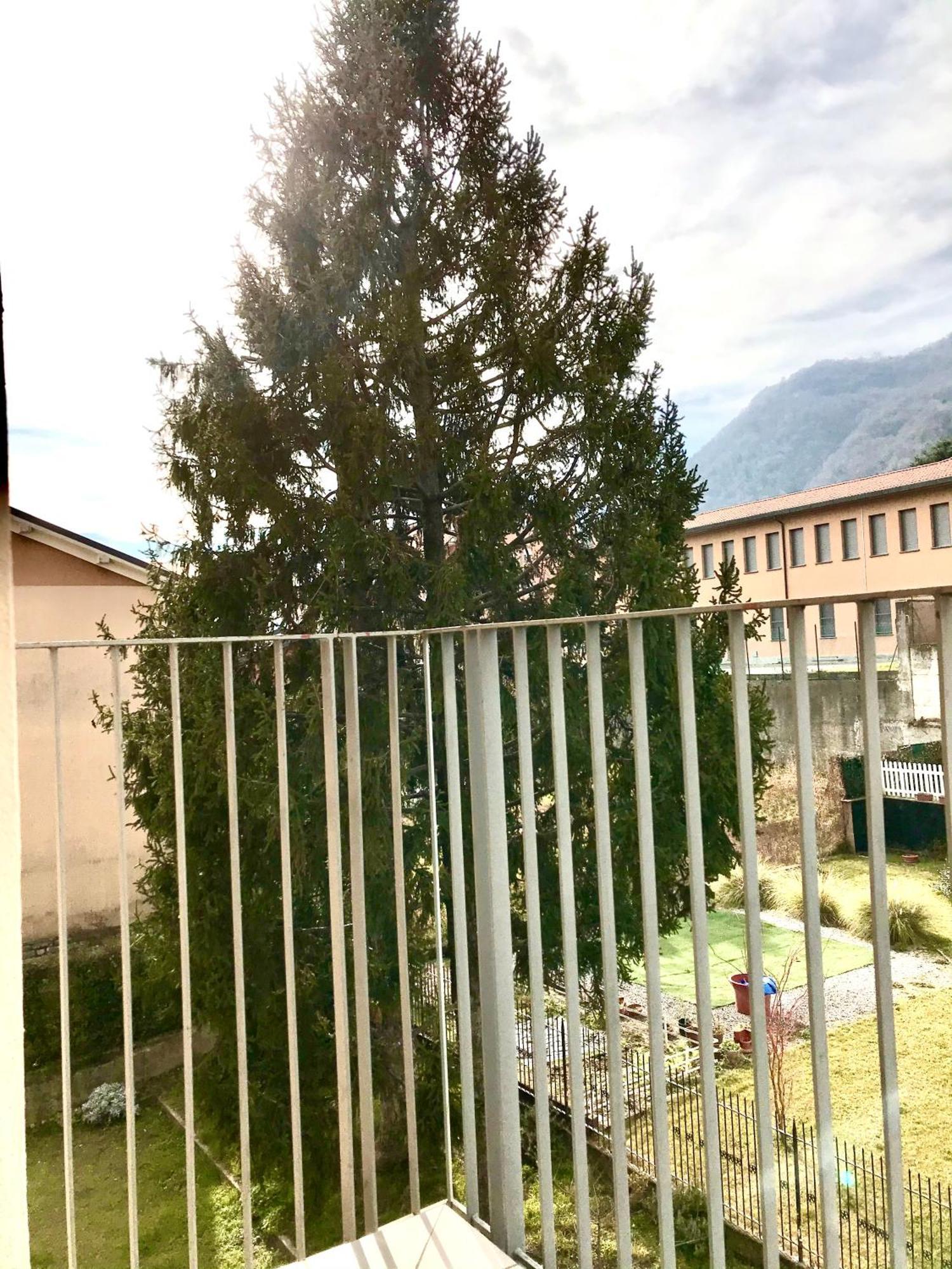Iuli Tra E Montagna Apartment *