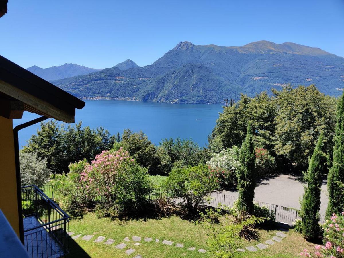 Apartment Olivo Verde - Cosy Stay, Pool And Amazing Views