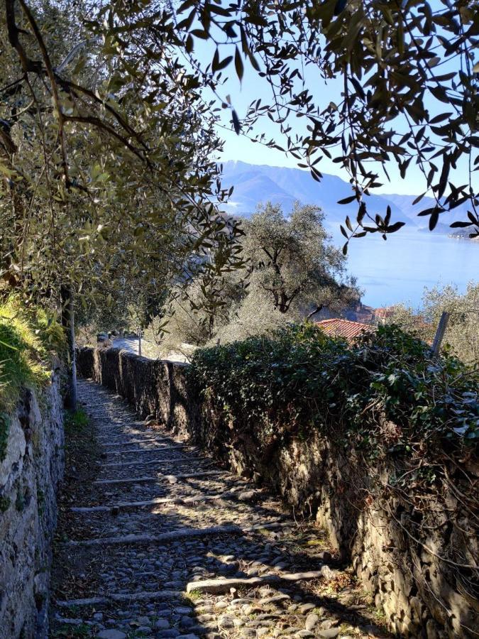 Olivo Verde - Cosy Stay, Pool And Amazing Views