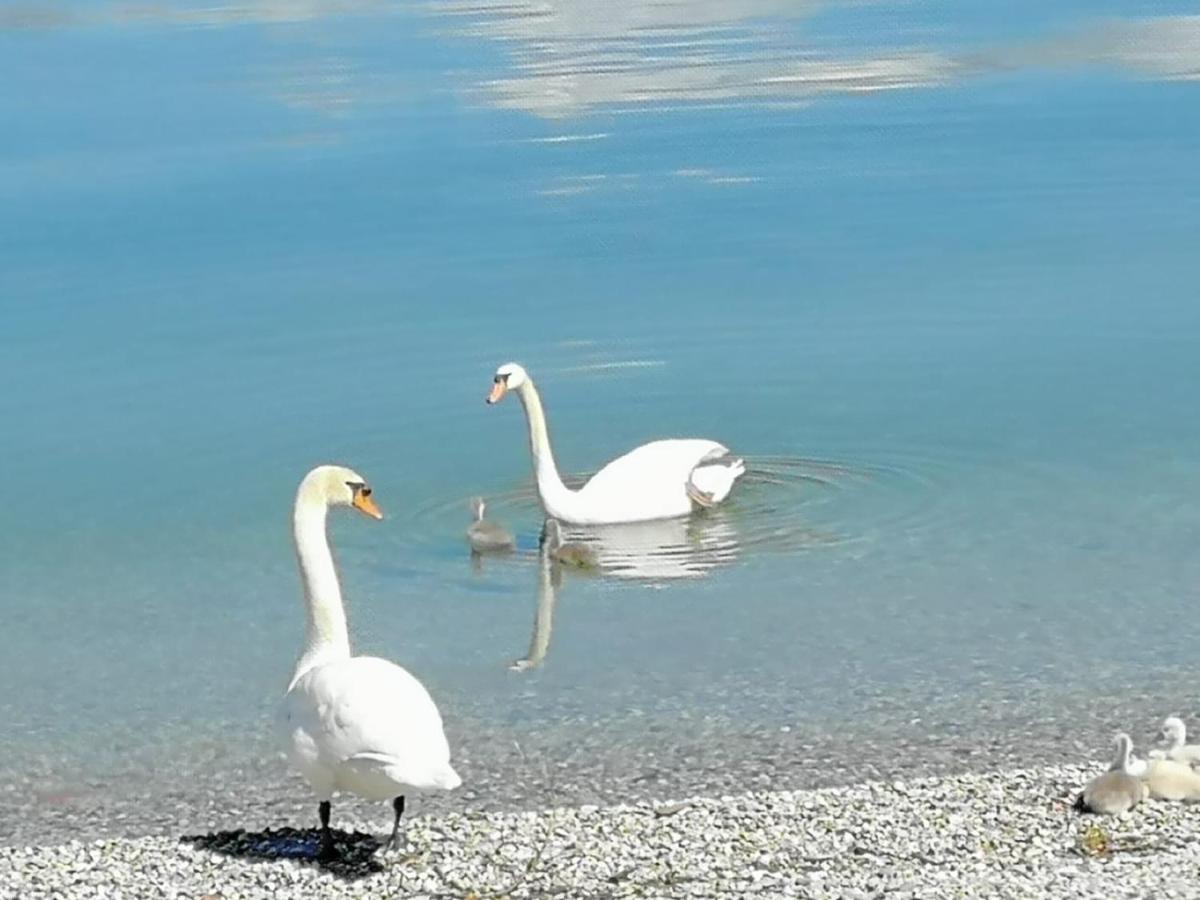 Casa Dolce Casa, A 2 Passi Dal E Vicina A Varenna * Lierna