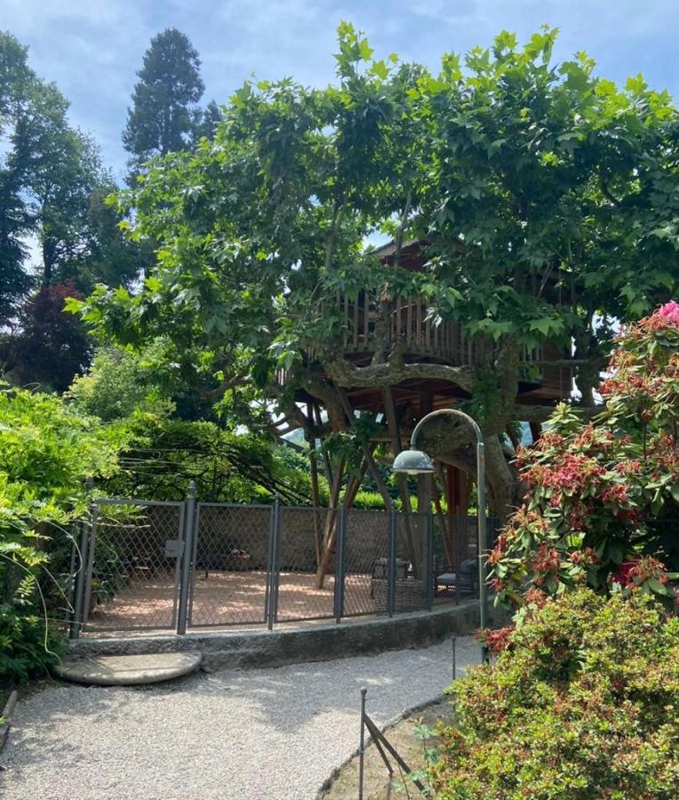 Luxuszelt Dream Tree House *