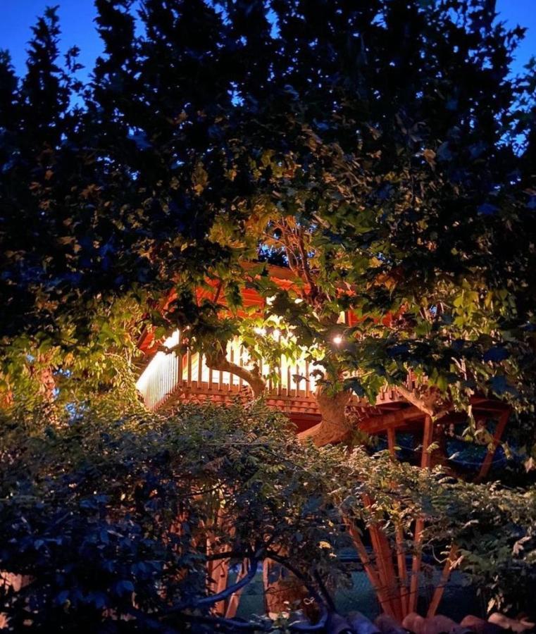 Luxury tent Dream Tree House