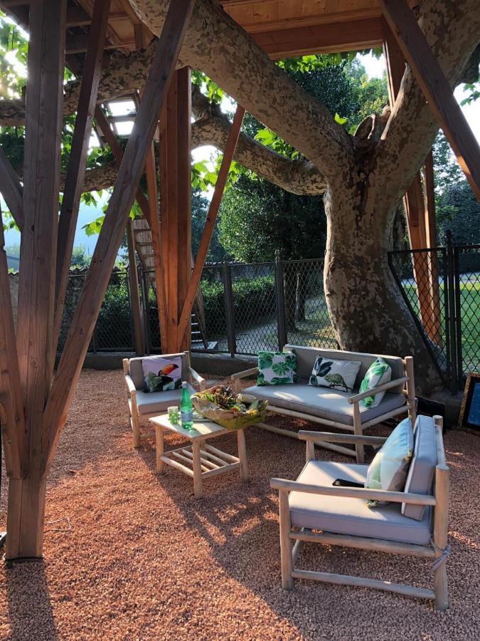 Dream Tree House