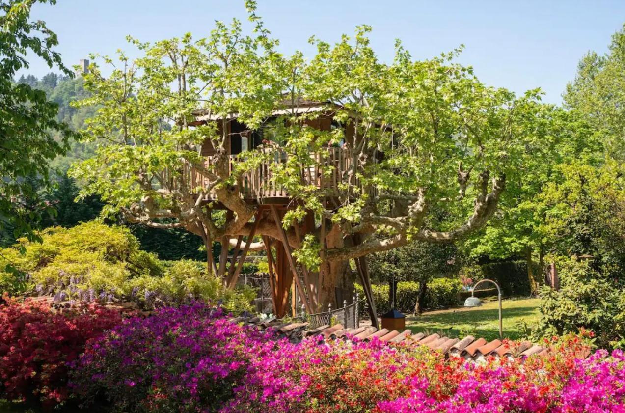 Luxury tent Dream Tree House
