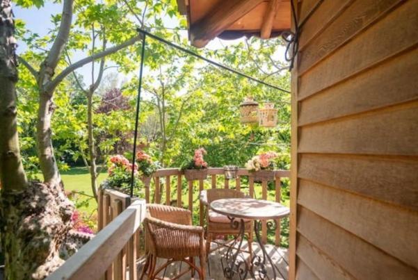 Dream Tree House *