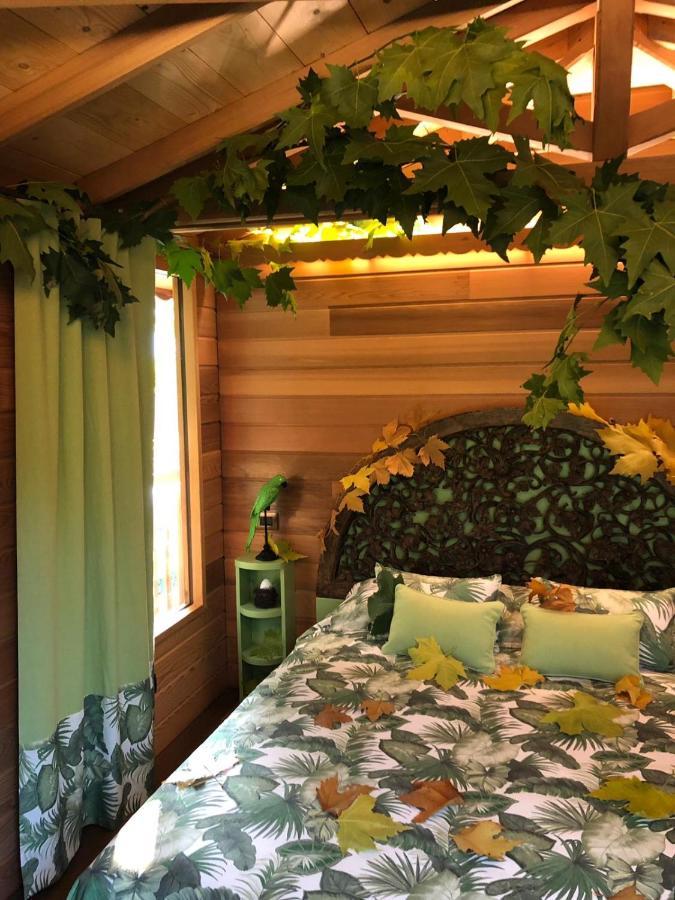 Dream Tree House *
