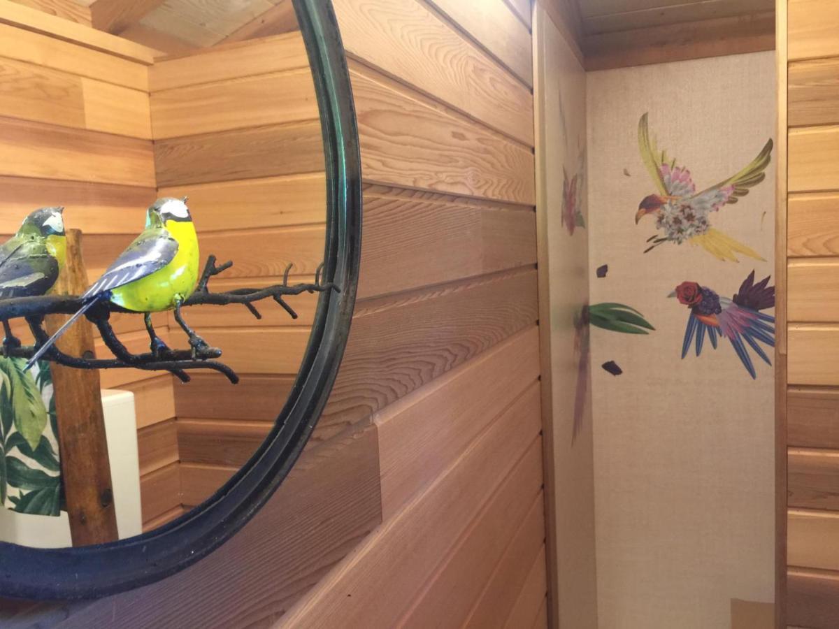 Dream Tree House Como