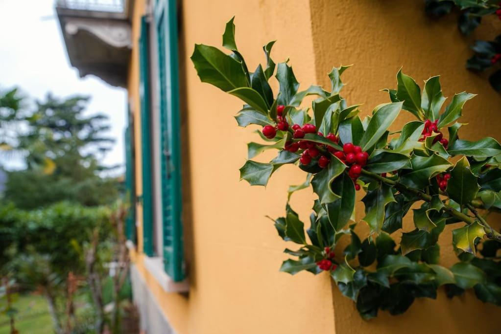 Apartment San Martino - Downtown Como