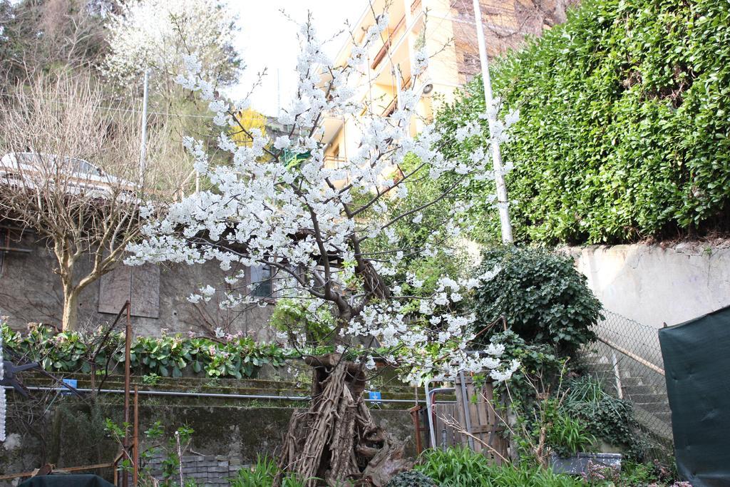 La Casa Del Barbarossa Apartment *