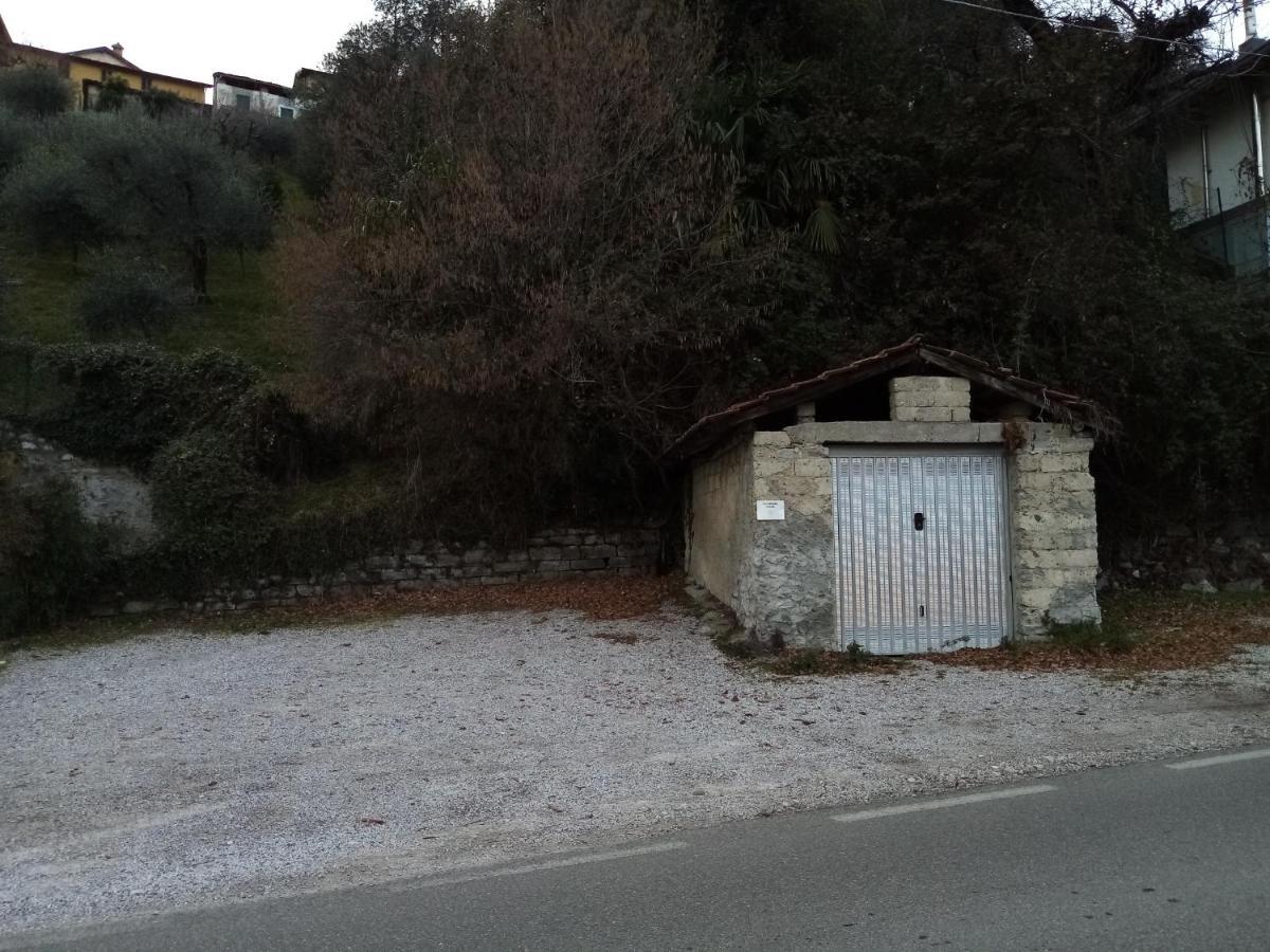 Mojana Bellagio Oliveto Lario