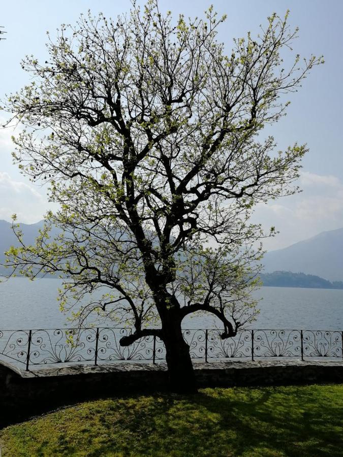 L'antico Borgo, Un Mix Di Storia E Romanticismo Ferienhaus Lierna