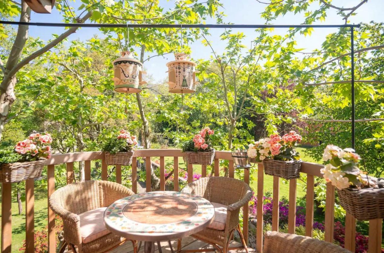 Dream Tree House