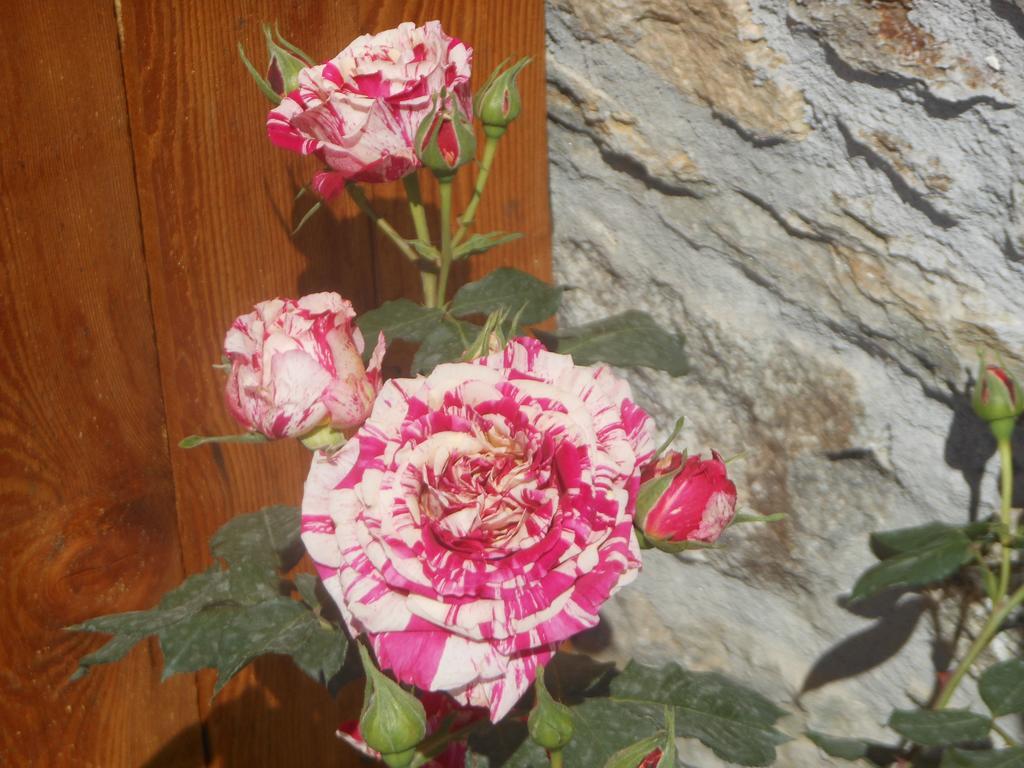 Nona Rosa Gravedona