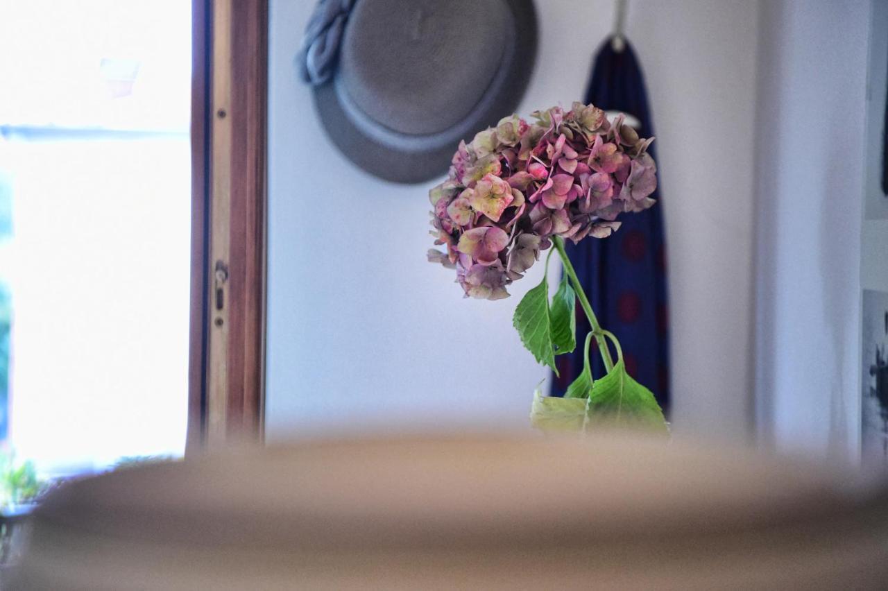 Apartment Casa Anna By Wonderful Italy *