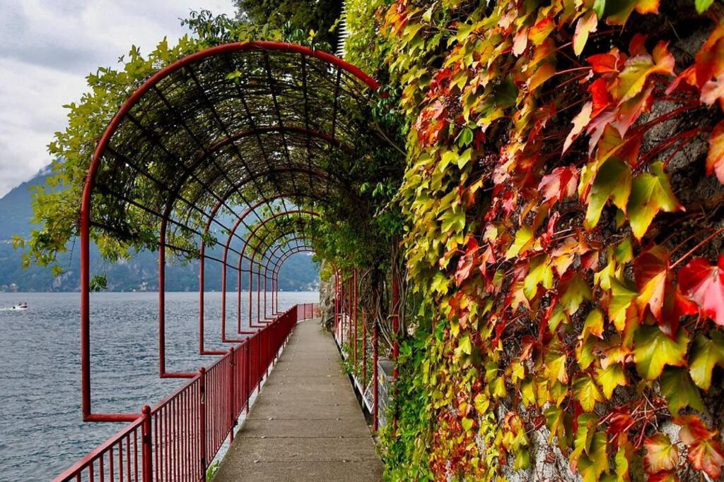 Apartment Nido D'amore Sul Lago Di Como