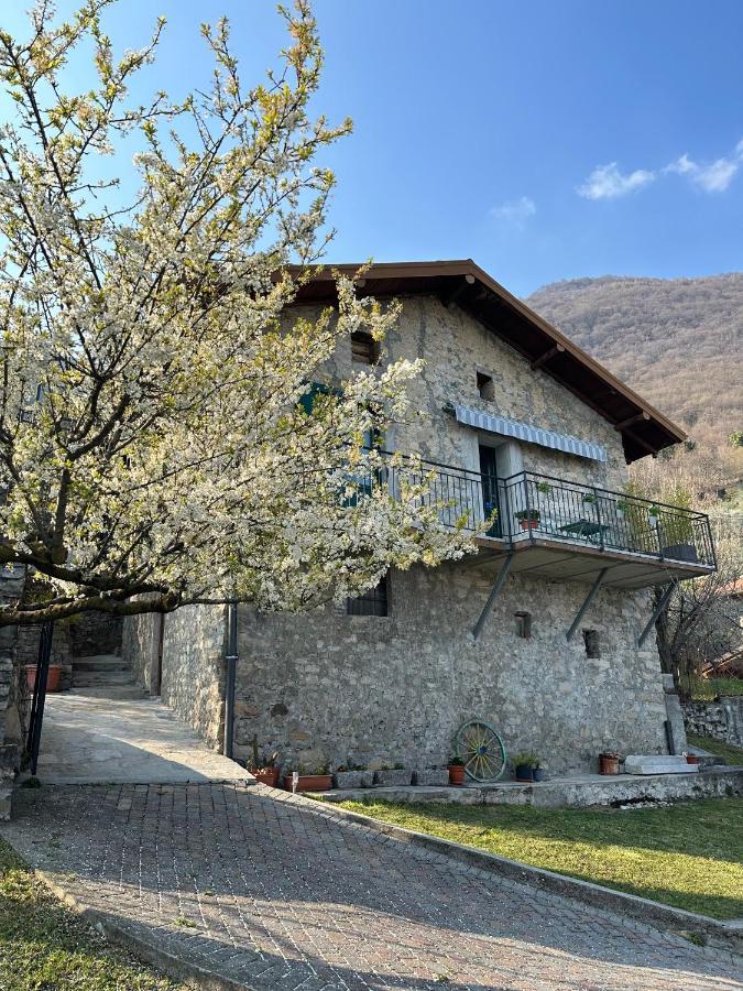 Ferienhaus Greenlake House Tremezzina Tremezzo