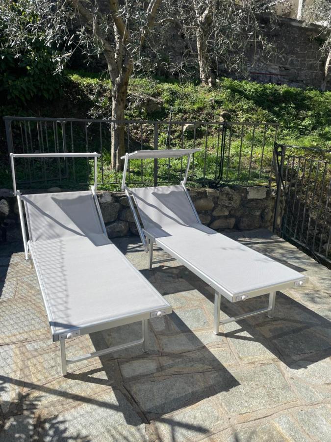 Casa Delle Olive 1 Apartment Oliveto Lario