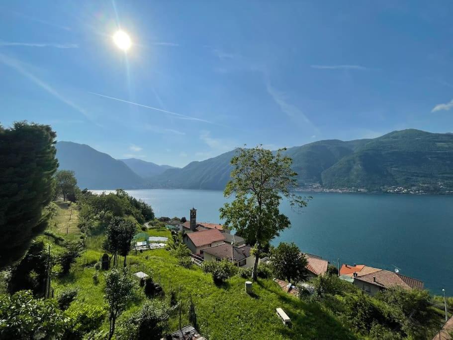 Apartment Il Noce View *