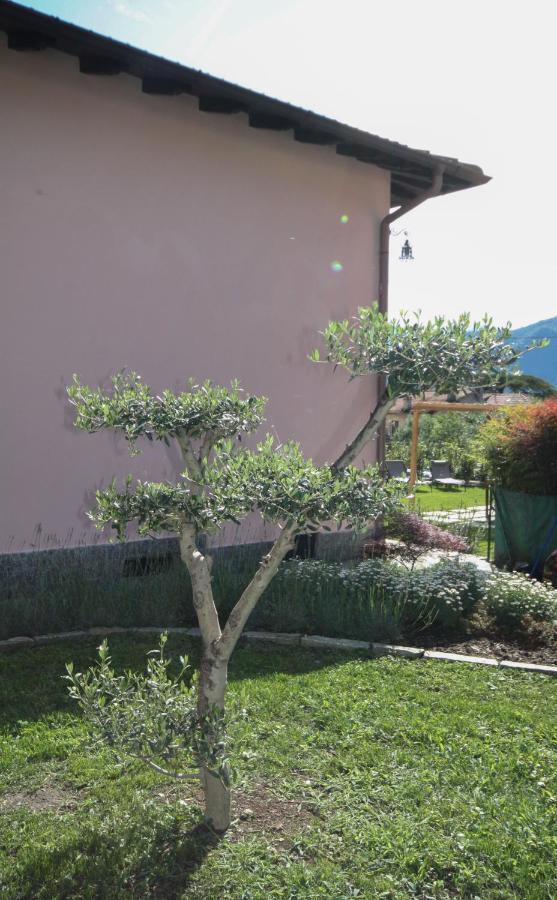 Casa Kika - Tremezzina Ferienhaus *