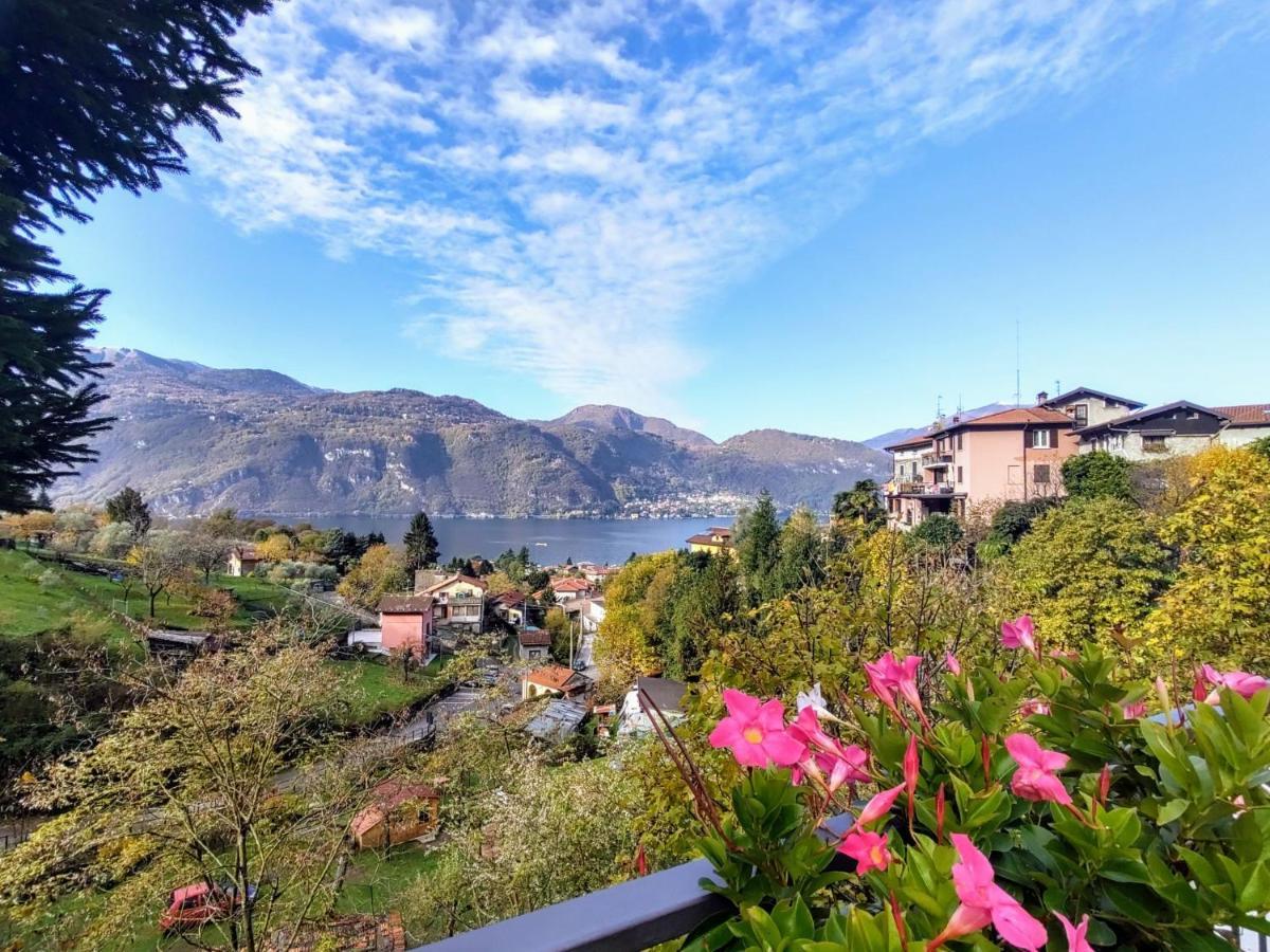 Corte Della Carla - Lie200 By Interhome Apartment