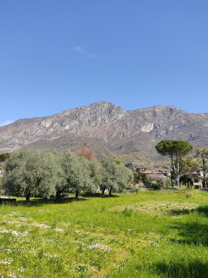 La Casa A Chiocciola Between And Mountains Holiday home Lierna