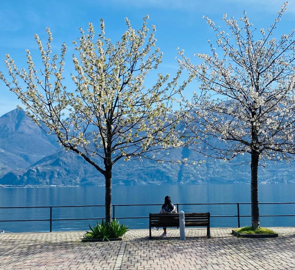 Apartment Brother's Como Lake Acquaseria