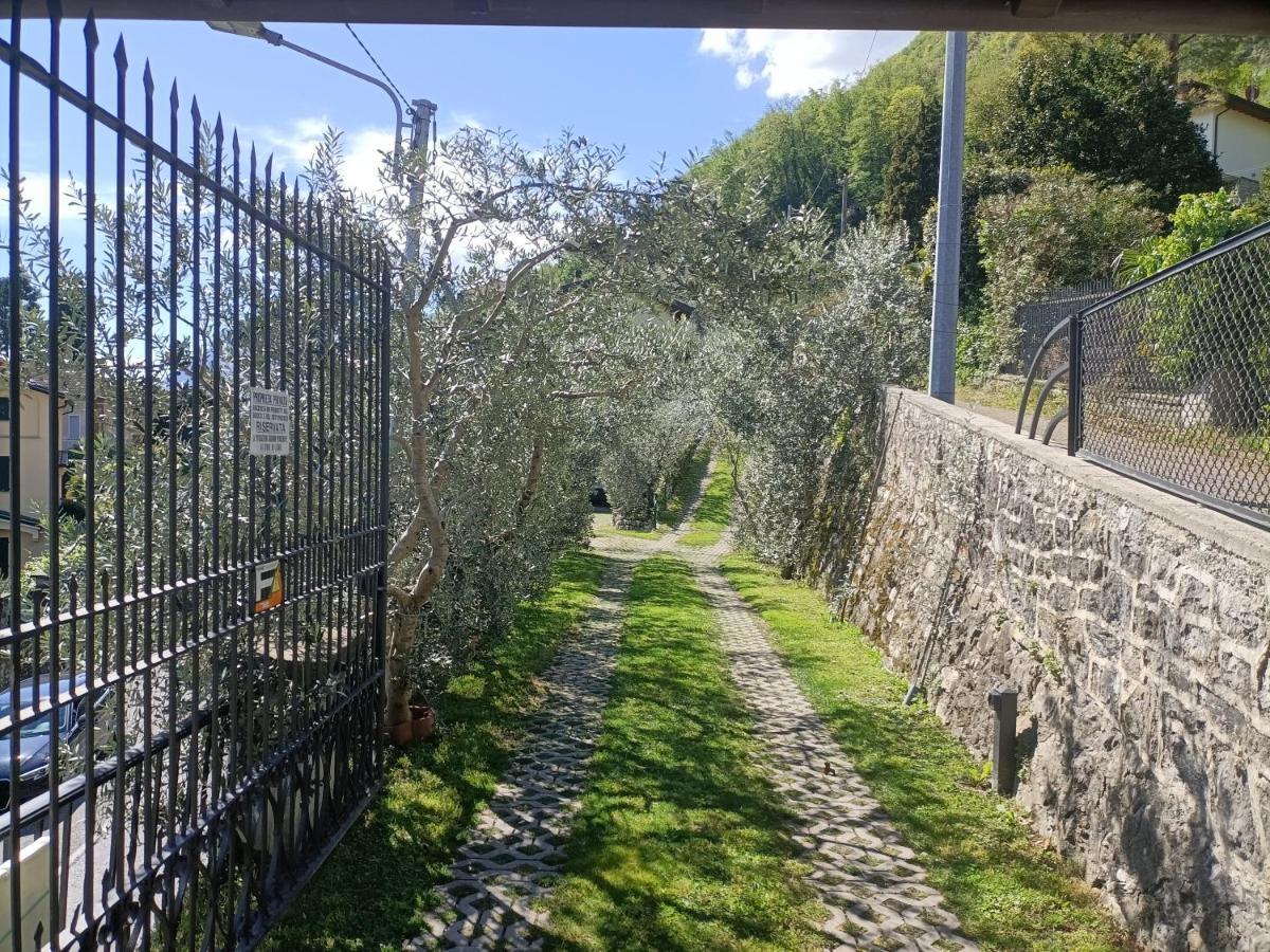 Casa Delle Olive 1 *