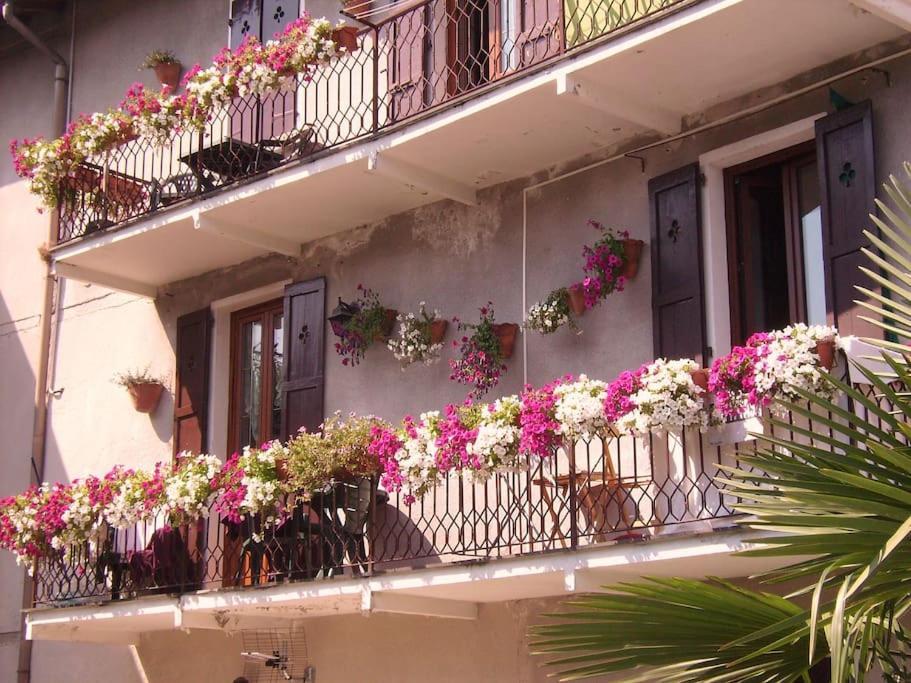 Charming Glicine And Azalea House Art And Colour With Lakeview *
